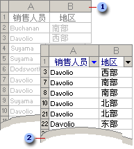 Davolio 的筛选列表